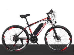 Electric Bike Electric Manufacture High Cheapest Electric Bike Electric Bicycle