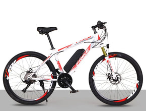 Electric Bike Electric Manufacture High Cheapest Electric Bike Electric Bicycle