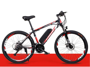 Electric Bike Electric Manufacture High Cheapest Electric Bike Electric Bicycle